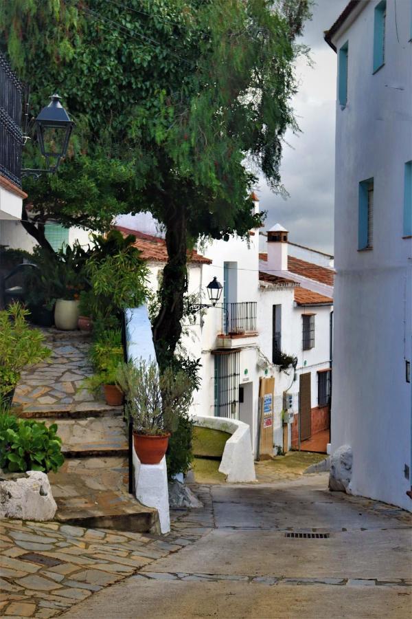 Hostal Moncada Ґаусін Екстер'єр фото