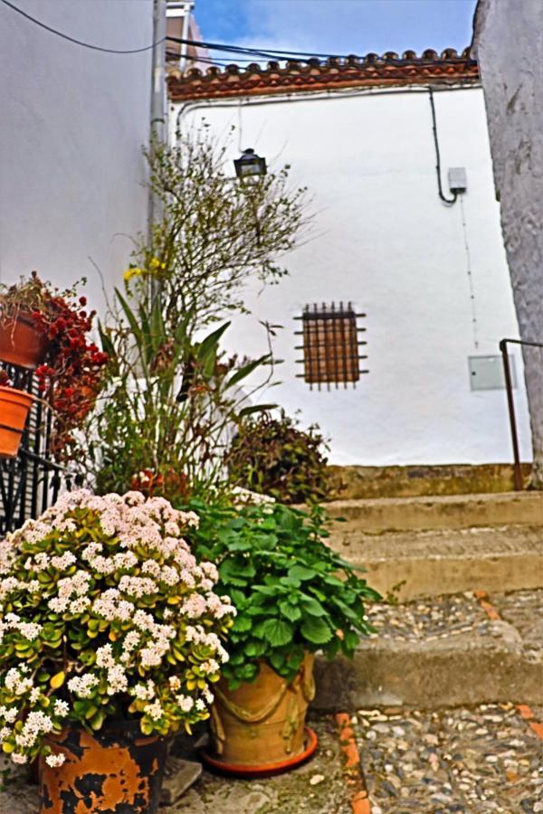 Hostal Moncada Ґаусін Екстер'єр фото