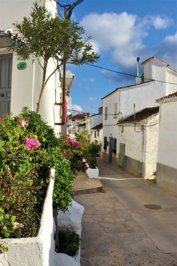 Hostal Moncada Ґаусін Екстер'єр фото